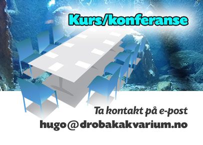 Bruk lokalene våre til kurs/konferanse